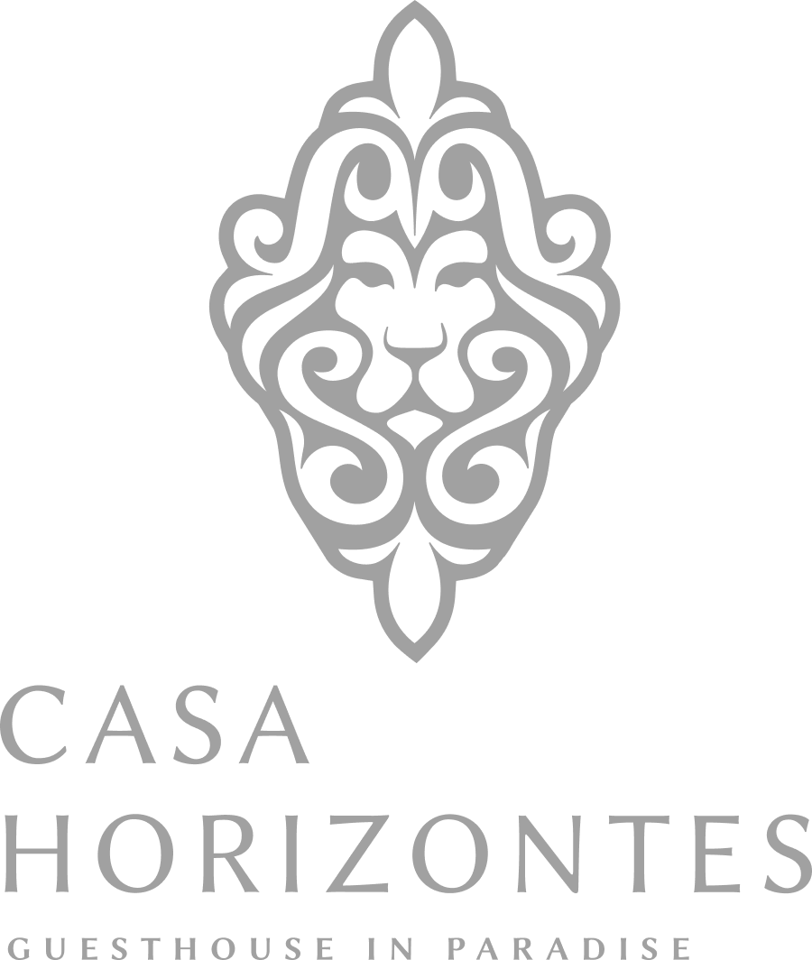 Casa Horizontes stacked logo — the lion crest above the wordmark and ‘guesthouse in paradise’.