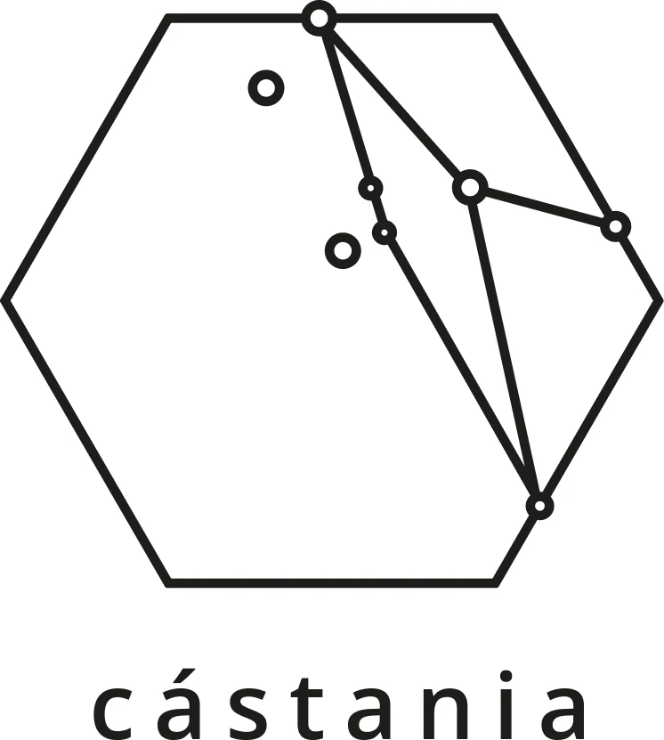 Castania logo — a hexagon monogram above the cástania wordmark.